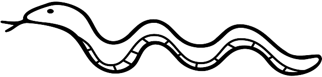 Snake, Reptile, Lizard, Nature, Serpent, Adam And Eve - Outline Of A Snake (640x320)