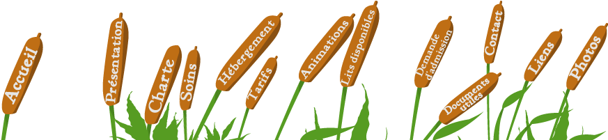 Association Neuchâteloise Des Institutions Privées - Grass (1000x200)