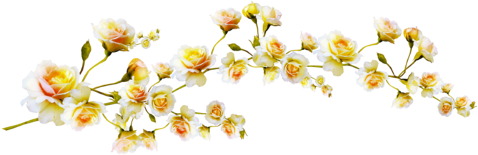 Png Клипарт Ветки, Лианы - Yellow Flowers Clip Art (698x266)