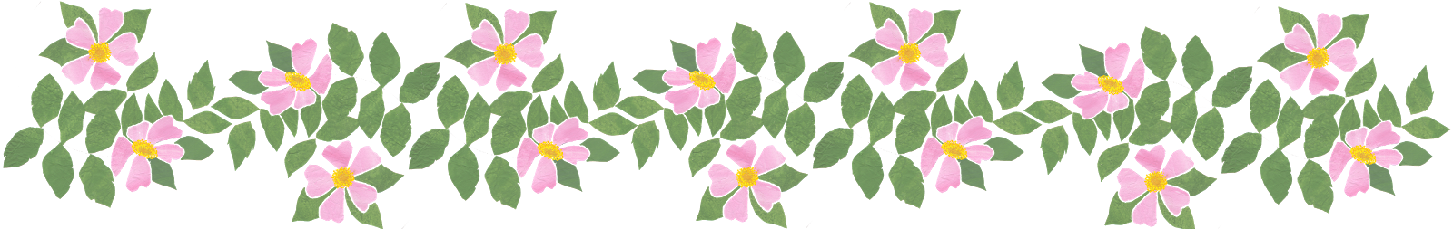 If You Are Planning A Complete Makeover, Including - If You Are Planning A Complete Makeover, Including (1600x253)