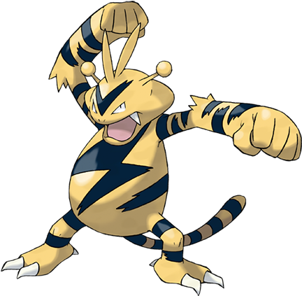 When A Storm Arrives, Gangs Of This Pokémon Compete - Pokemon Electabuzz (475x475)