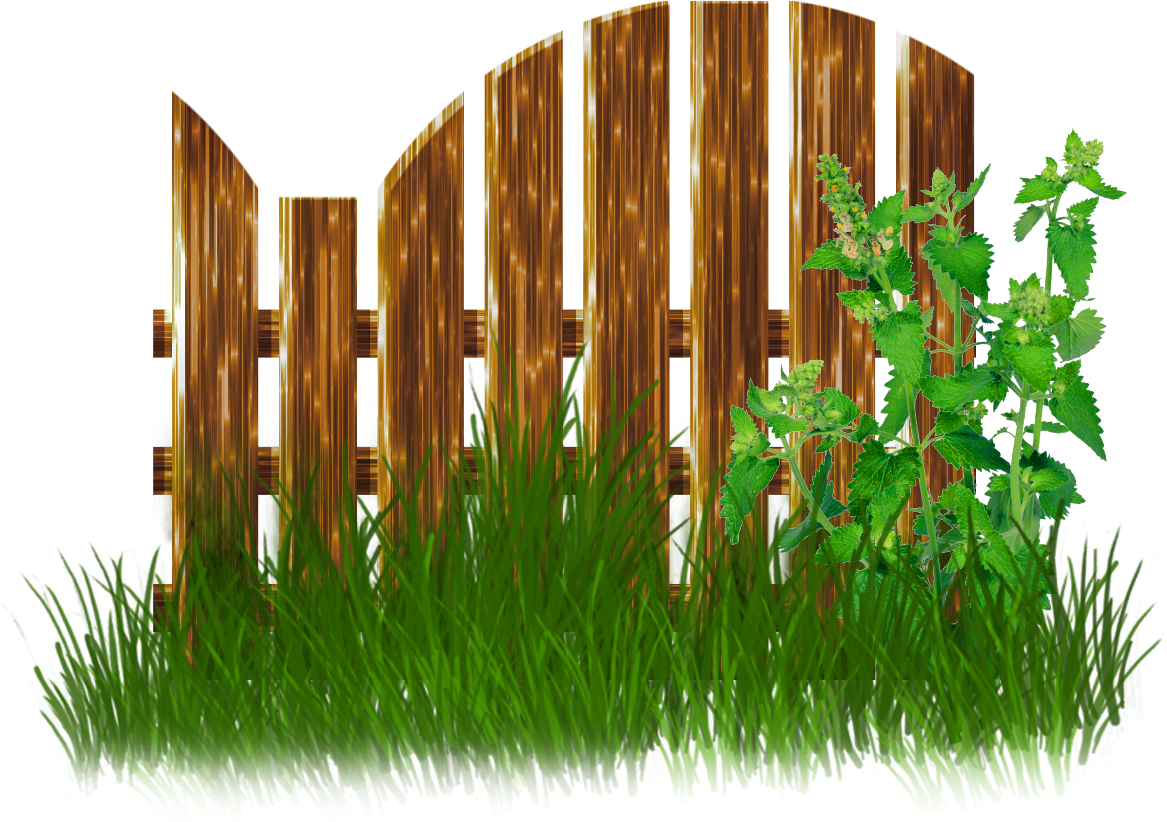 Dekoratívne Elementy « Category - Clip Art (2480x2480)