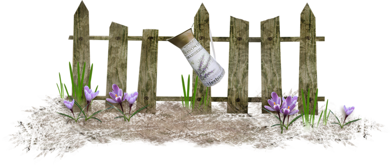 Fences - Fence (800x338)