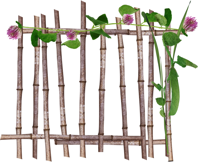 Publicat De Eu Ciresica La - Bamboo Fence Png (800x657)