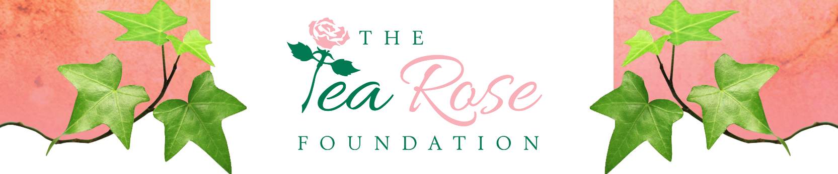The Tea Rose Foundation Was Established In 2012 And - Omega (1665x347)
