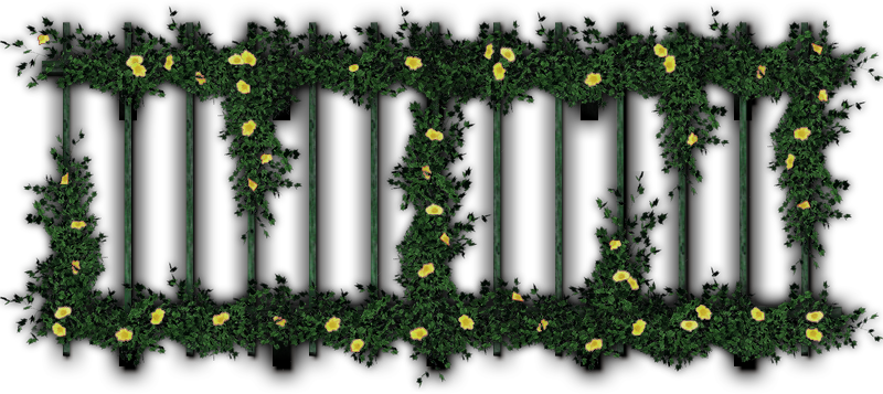 Pergolaflower5 06 Feb 2009 - Wooden Pergola Top View (800x357)