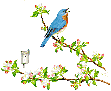 Bluebird - New York State Bird (450x373)