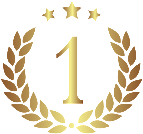 Medal, Gradient, Gold, Silhouette, Emblem, Symbol - Premios Culturales Públicos : Consideraciones De Legalidad (640x634)