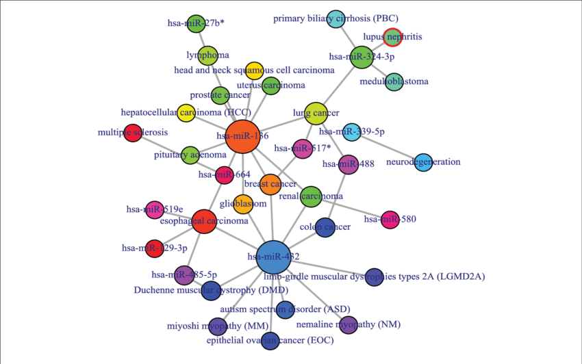 Output Figure And Statistics Of > Comorbiditymirna - Circle (850x532)