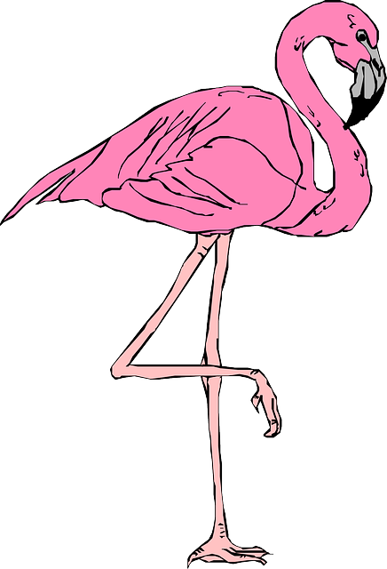 Mixed Genre Fiction Reviews - Flamingo Clipart (436x640)