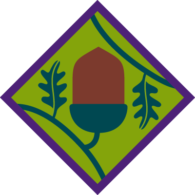 Young - Scout Young Leader Badges (400x400)