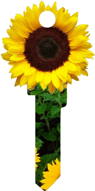 Sunflower Key (373x754)