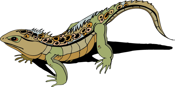 Way Out In The Desert - Science Trek (723x360)