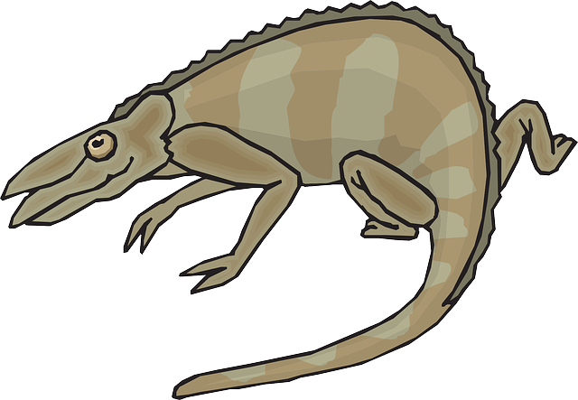 Brown, Cartoon, Colors, Chameleon, Walking - Clip Art (640x443)