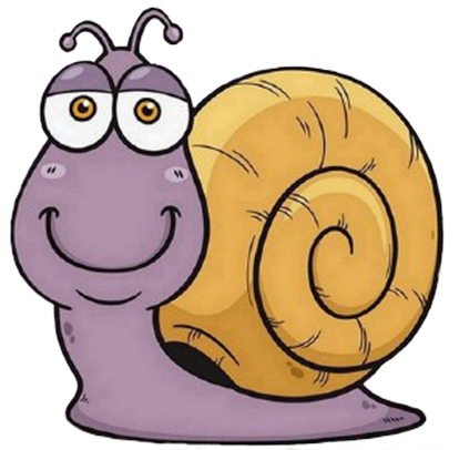 Snail Cartoon Drawing Illustration - Caracol Dibujos Animados (800x800)