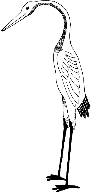 Bird, Crane, Stork - Stork Clipart Black And White (320x640)