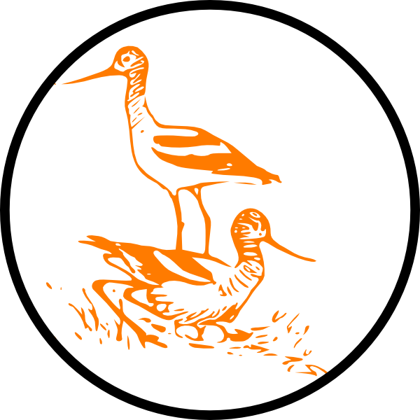Marsh Clip Art At Clker - Clip Art (600x600)