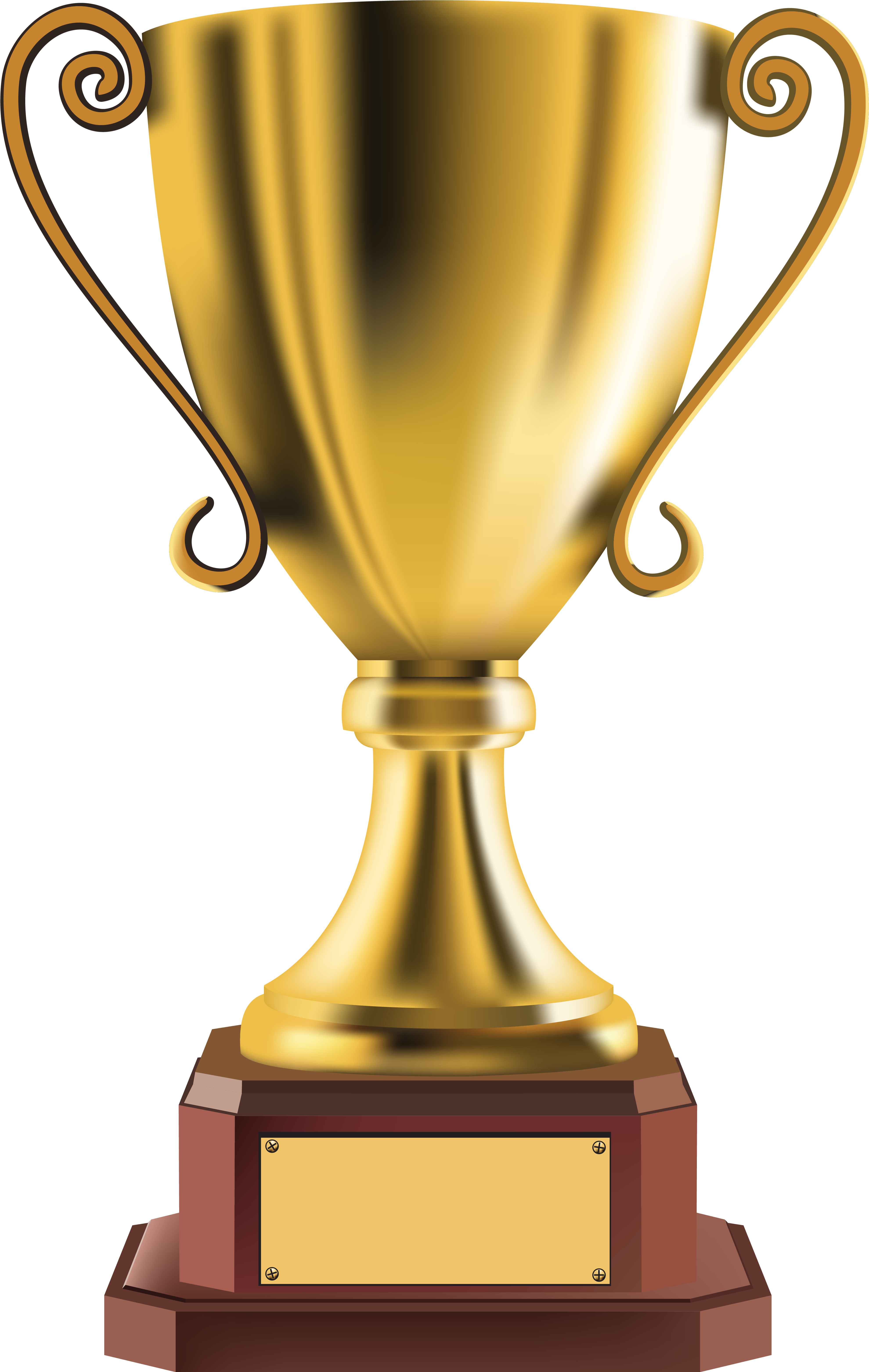 Transparent Gold Cup Trophy Png Picture - Trophy Clipart (4149x6460)