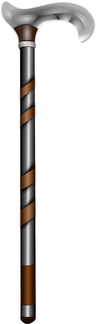 Walking Stick - Cane Clipart Png (566x800)