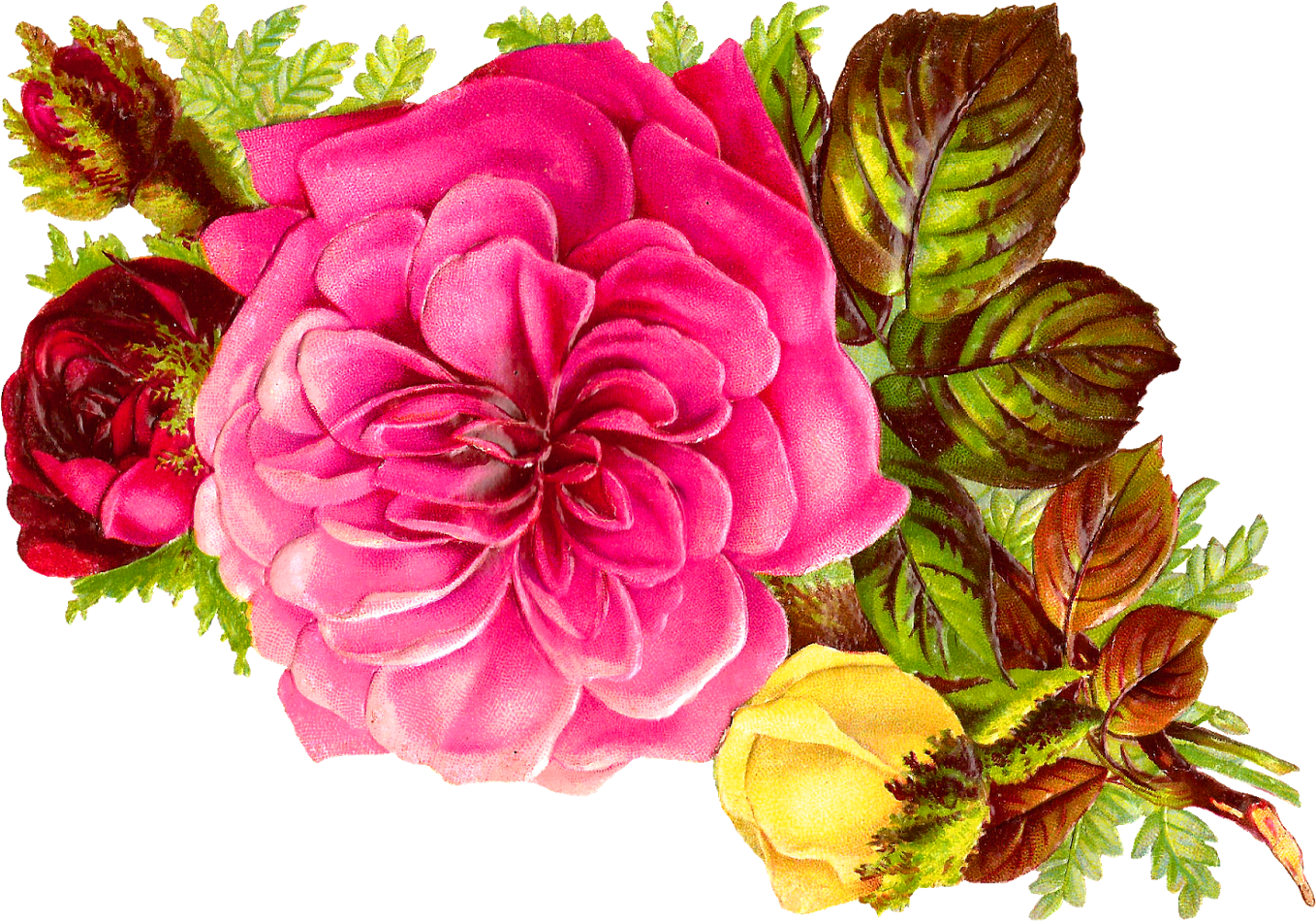Habrumalas Pink Flower Bouquet Clip Art Images - Pink Flower Bouquet Clip Art (1600x1132)
