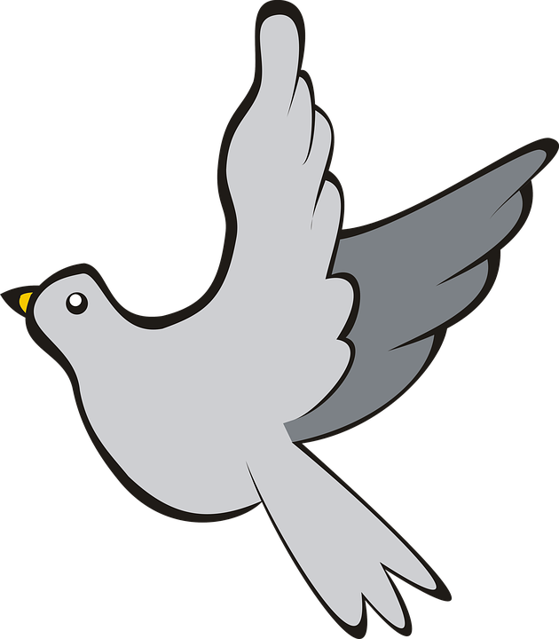Bird, Pigeon, Flight, Sky, Grey, Adobe, Adobe Photoshop - Clip Art (630x720)