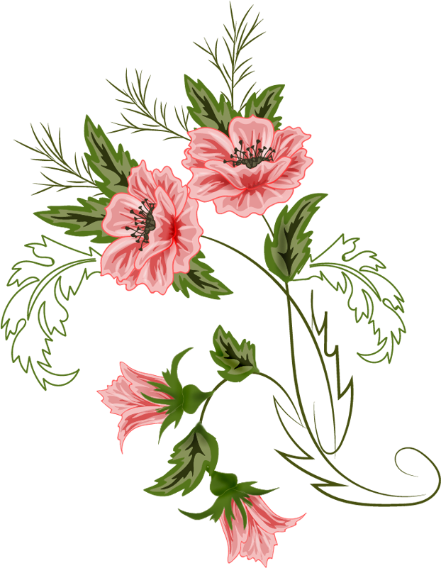 Cool Floral Vector Brushes Download With Vector Flowers - Adobe Photoshop (667x800)