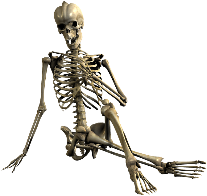 Skeleton, Sitting, Skull, Bones - Skeleton, Sitting, Skull, Bones (720x720)