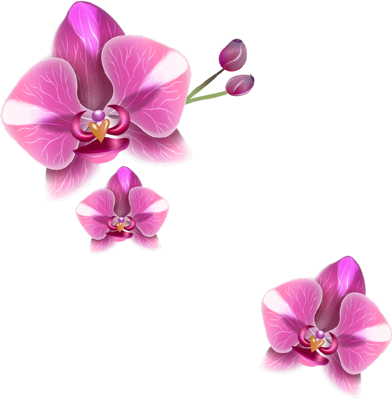 Png Клипарт "realistic Vector Delicate Orchids" - Vector Graphics (812x850)