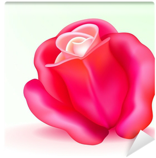 Vector Photo-realistic Pink Rose Wall Mural • Pixers® - Garden Roses (400x400)