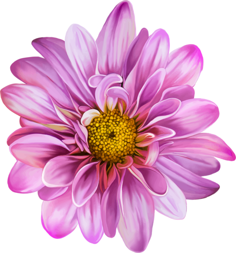 Isolated On White Background - Blue Flower (466x500)