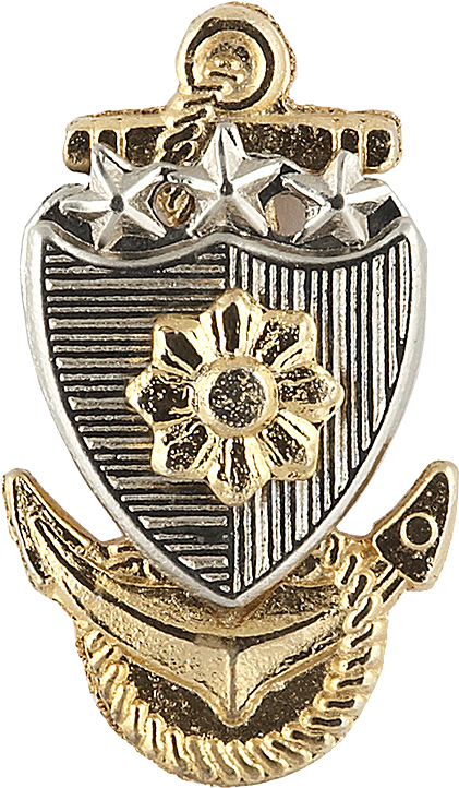 Marine Corps Badge Collection Mp Provost Security Military - Badge (440x741)