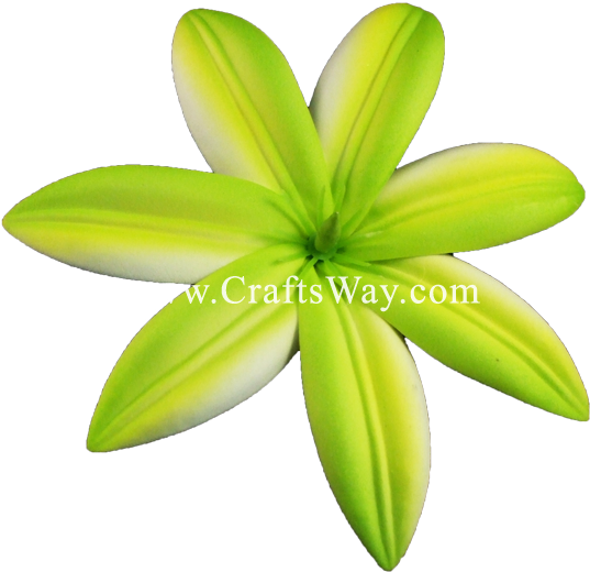 Fsh427 Tiare Type Ai - Lily (550x550)