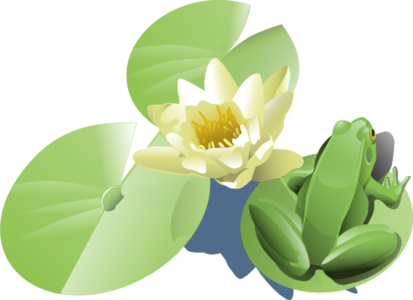 Lily Pad Clip Art (600x436)