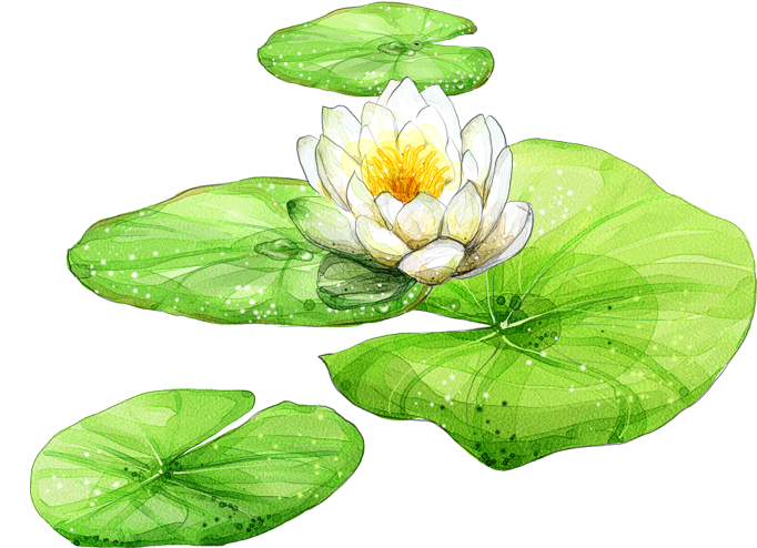 5小时左右） 岳王庙（1小时左右） 西湖游船（含三潭印月，2小时左右） 西湖礼物店（0 - Lotus Leaf Png (709x632)