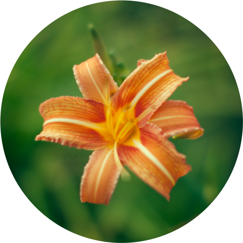 Sheila, Pennsylvania - Gloucester Road Tube Station (1000x1000)