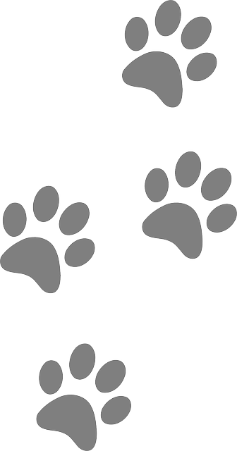 Free Image On Pixabay - Paw Print Clip Art (336x640)