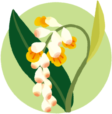 月 桃 イラスト (400x400)