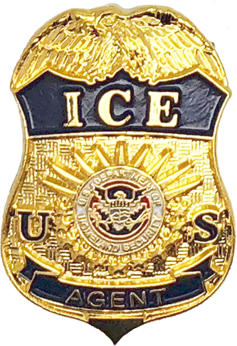Department Of Homeland Security Immigration And Customs - Federal Protective Service Badge (333x486)