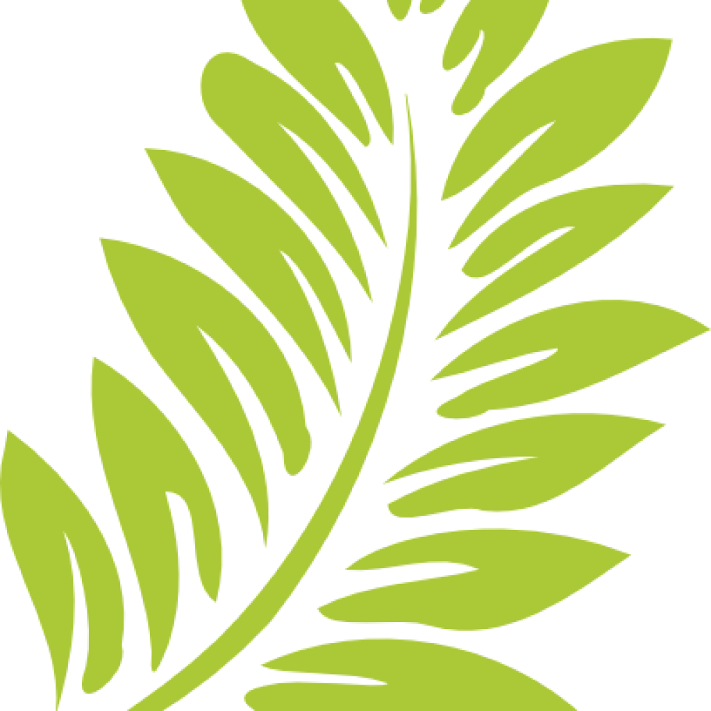 Gallery Of Green Leaf Png Clip Art 1980 Free Cloud - Transparent Background Leaf Clip Art (1024x1024)