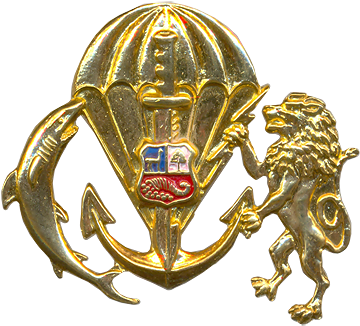 2010 Commando Qualification Badge - Emblem (379x343)