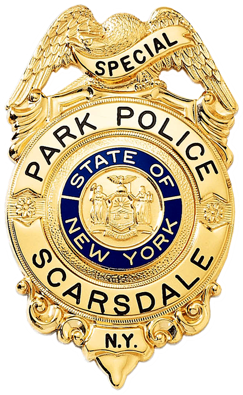 Badge With Eagle Holding A Ribbon - Badge (500x813)