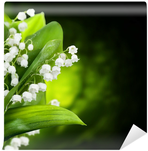 Lily Of The Valley Flowers Design Wall Mural • Pixers® - Design Magnettafel Maiglöckchen (400x400)