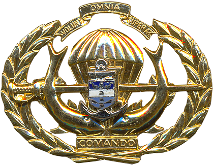 Amphibious Commando Beret Badge - Badge (438x342)