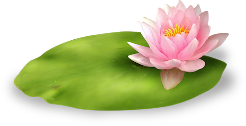 Par Chouchounette Dans Elements De Scraps Le 26 Janvier - Tube Zen (500x257)