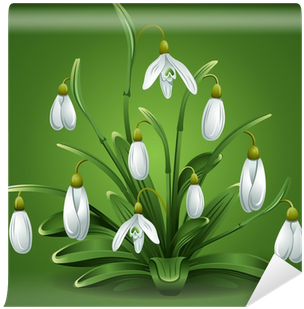 Vector Graphics (400x400)