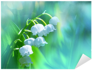 Lily Of The Valley (400x400)