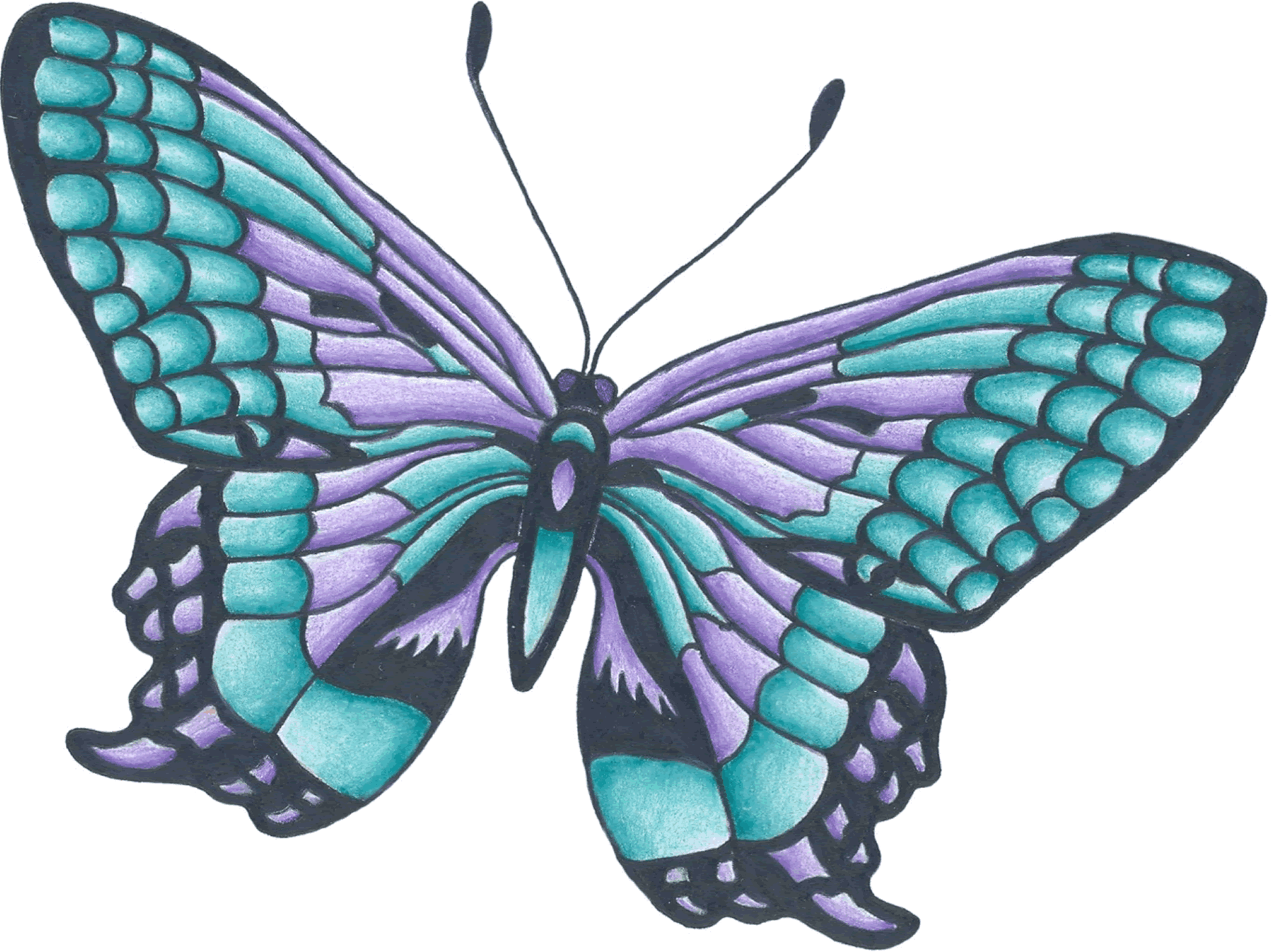 Adult Images About Butterflies Monarch Butterfly Coloring - Flowers Drawings With Color (1894x1418)