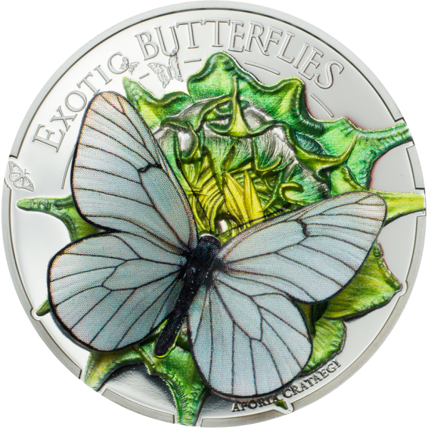 Butterflies In 3d - Dream Edition Mariposa Sueno 3d Coin (600x600)