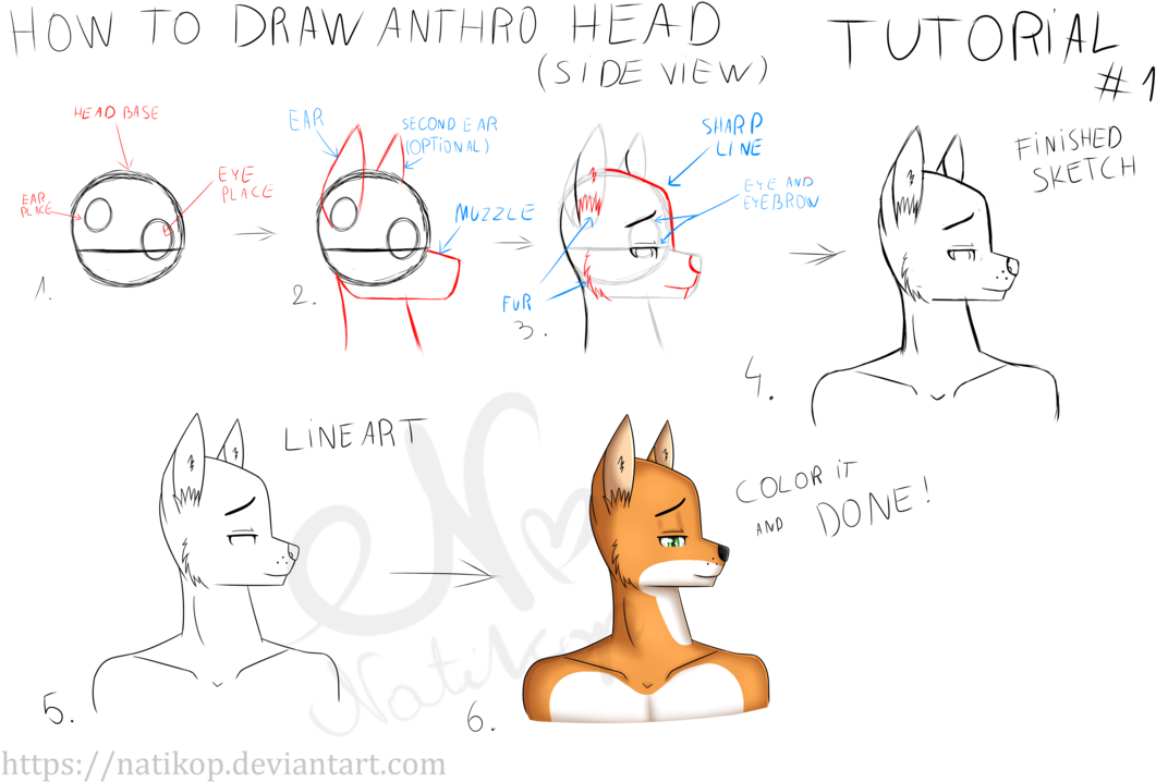 How To Draw Anthro Head [tutorial - Tutorial (1092x731)