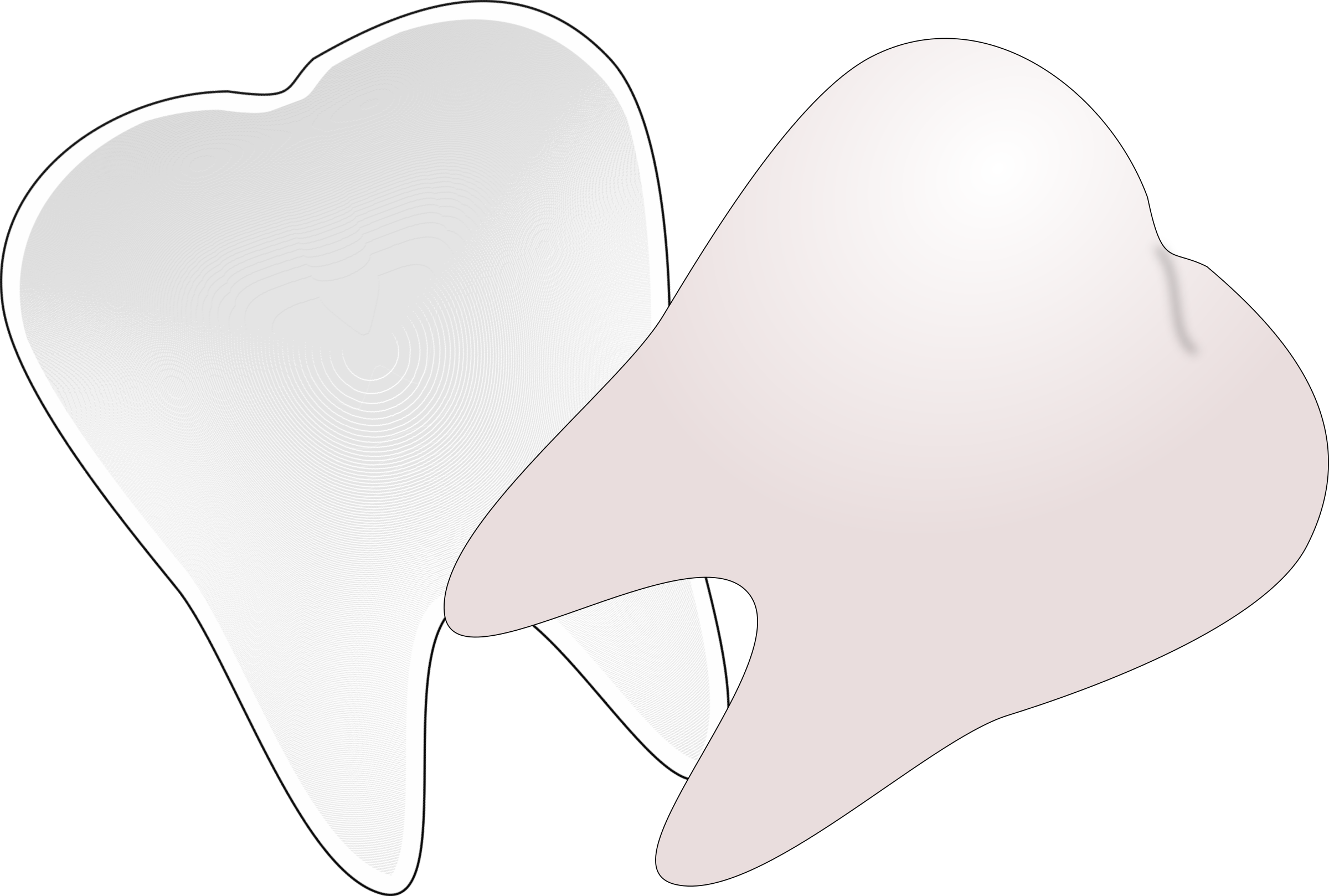 Big Image - Tooth Clip Art (2400x1618)